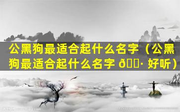 公黑狗最适合起什么名字（公黑狗最适合起什么名字 🌷 好听）